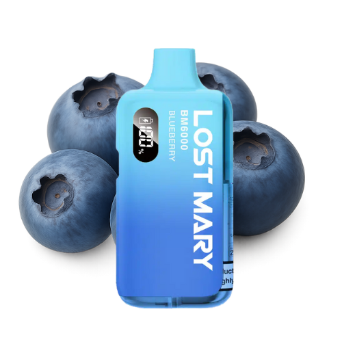 LOST MARY BM 6000 Vape Kit Blueberry