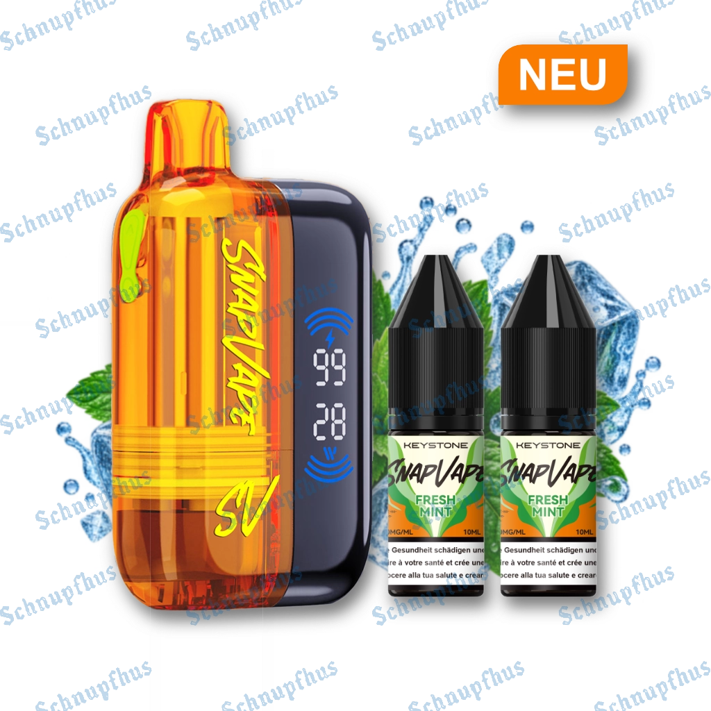 SnapVape Starter Kit | Akkuträger + Leerpod + 2x E-Liquid Fresh Mint (20mg/ml)