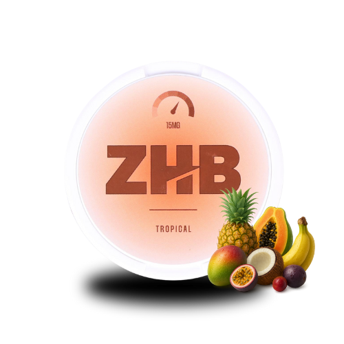 ZHB Snus Tropical 15mg